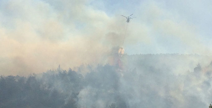Amanos Dağları'nda orman yangını