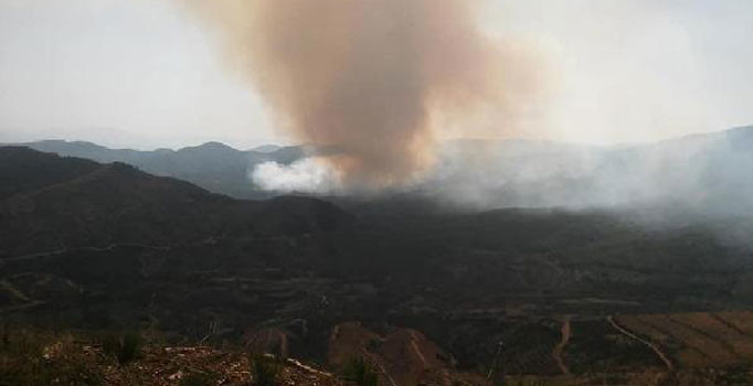 İzmir'de yangın: Yol kenarında başladı, ormana sıçradı