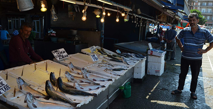 Türkiye bu sezon palamuta doyacak