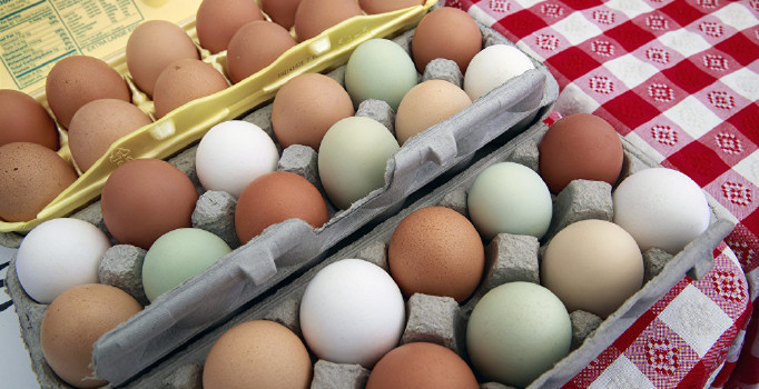 Temmuzda yumurtaya yüzde 27 zam