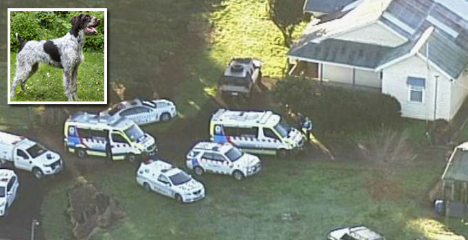 Avustralya’da köpek bebeğe saldırıp öldürdü