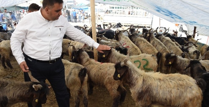 Tarsus’ta kurbanlık fiyatları ve satış yerleri belli oldu