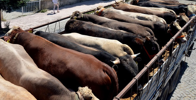 Vali Büyükakın’dan Diyanet Vakfı’na kurban bağışı
