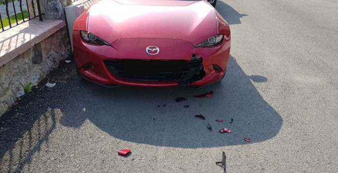 Sakarya'da köpekler lüks aracı parçaladı