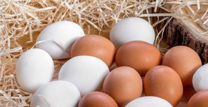 Yumurta fiyatından ne üretici ne de tüketici memnun