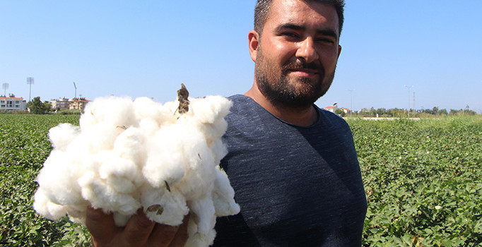 Antalya’da sezonun ilk pamuğu kilogramı 50 liradan satıldı
