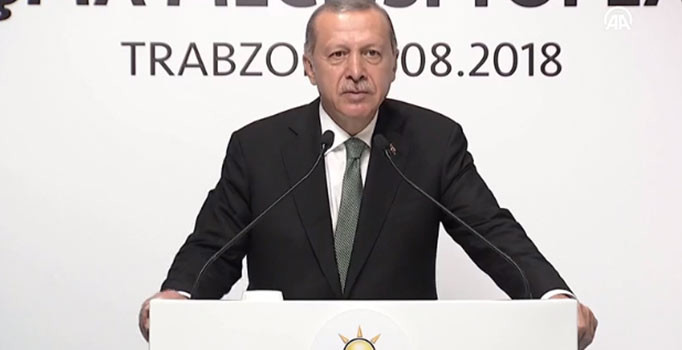 Erdoğan'dan döviz açıklaması: Oyununuzu gördük meydan okuyoruz