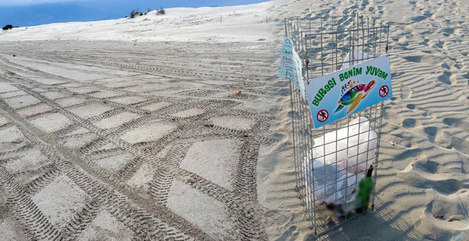 Profesör isyan etti: Adam çöp atıyor, silah çekiyor