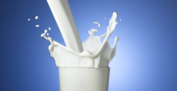 Toplanan inek sütü miktarı haziranda yükseldi