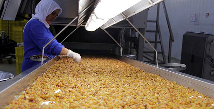 Çinli firma kuru üzümü ABD yerine Türkiye'den alacak