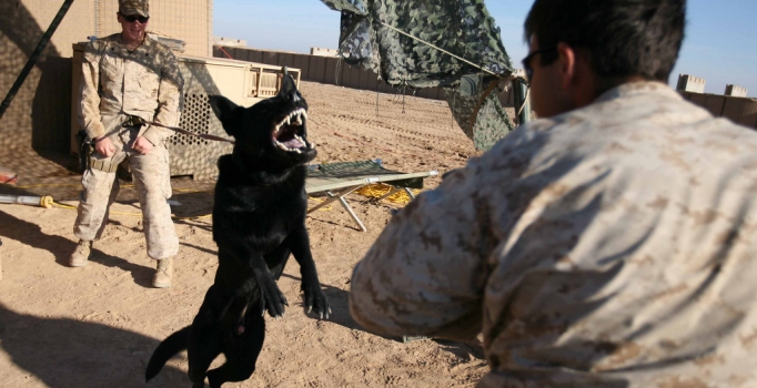 Misafirhaneye düzenlenen silahlı baskında 5 kişi öldü
