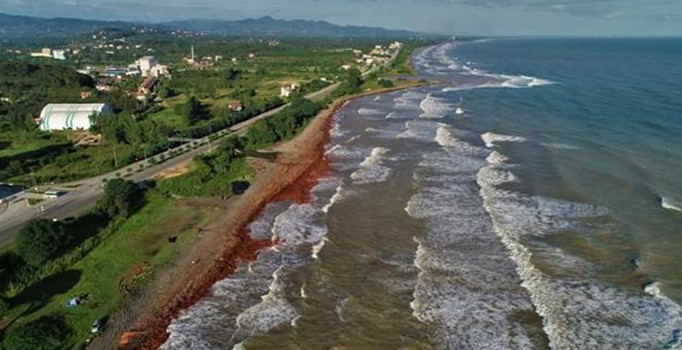 Selin bilançocu: Bin 100 ton fındık zarar gördü