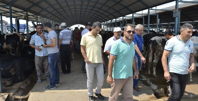 Denizli’de kurbanlık hayvan alışverişleri hızlandı