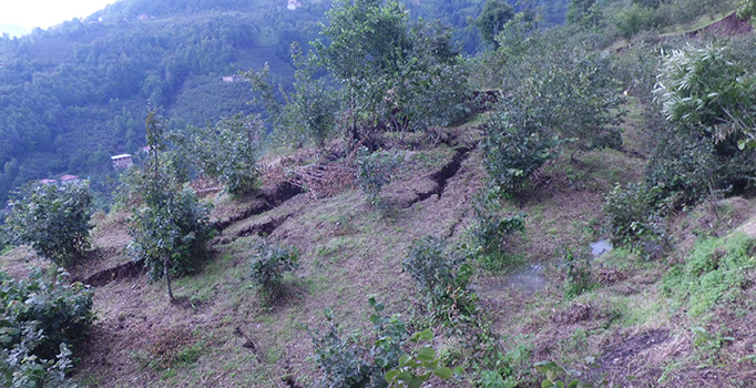 Ordu’daki selde 809 ton fındık, 17 bin civciv kayboldu