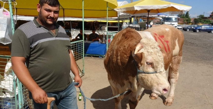 Kurban pazarında yoğunluk var