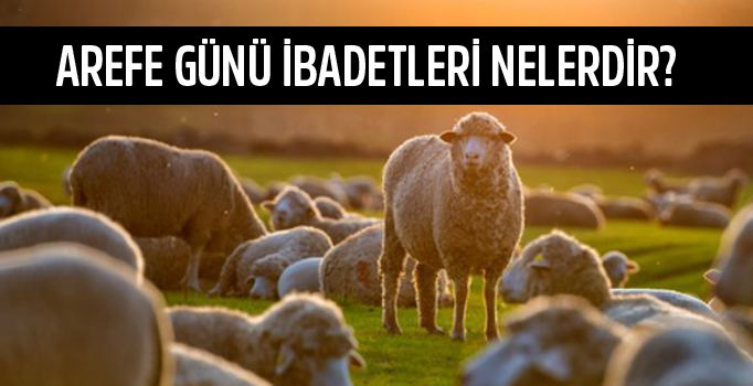 Arefe günü ibadetleri nelerdir? Hz. Muhammed arefe günü ne yapardı? Arefe günü namazı