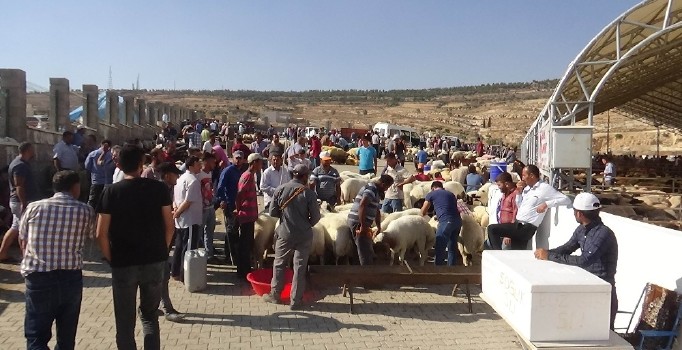 Kurban Pazarında hareketlilik