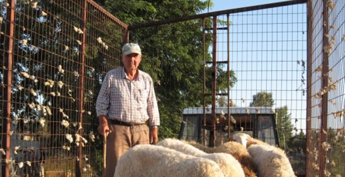 Batı Trakya'da kurban pazarına polis müdahalesi