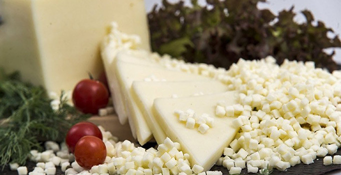 Son dakika! Çiftlik Bank'tan sonra 'Kaşar Bank'! Soruşturma başlatıldı