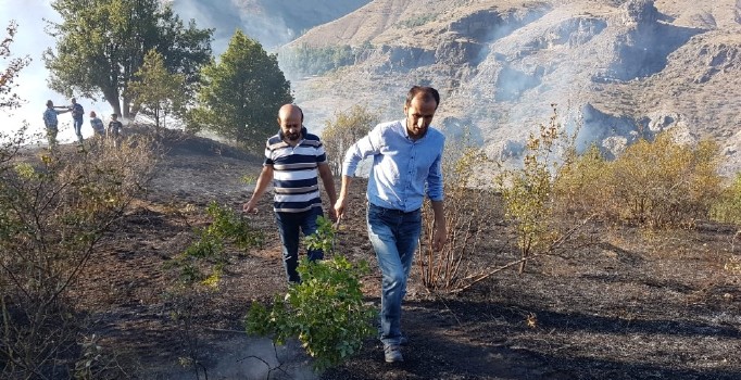 Gümüşhane’deki örtü yangını kontrol altına alındı