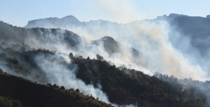 Trabzon'daki 68 yangın tamamen söndürüldü