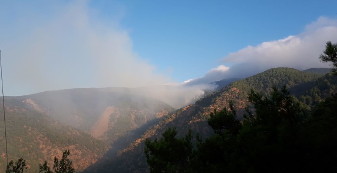Hatay'da orman yangını