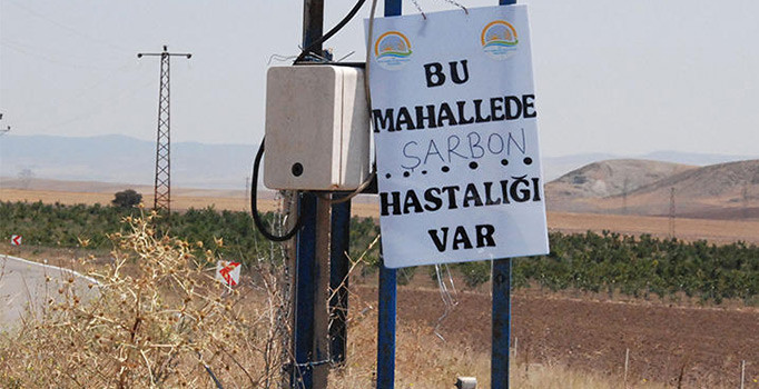 Ankara’da şarbon karantinası