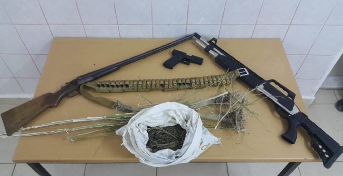 Çankırı’da 69 kök kenevir ele geçirildi