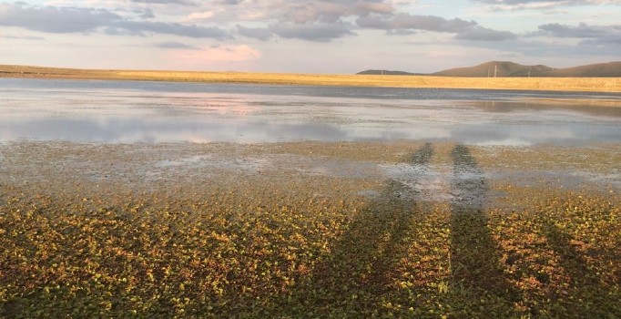 Asboğa Gölü turizme kazandırılmayı bekliyor