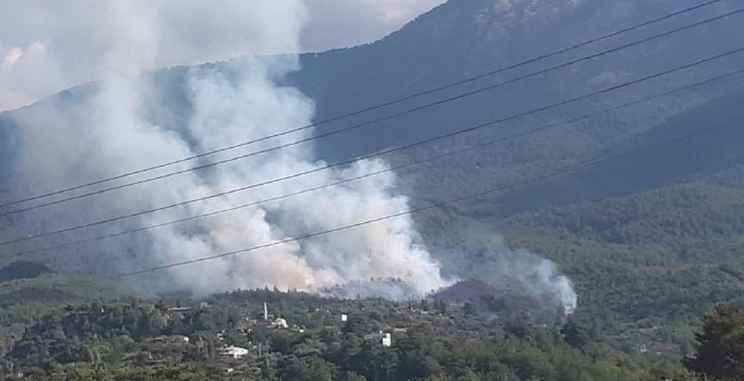 Hatay’da orman yangını