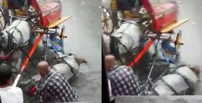 Büyükada’da sahibi yere düşen atı yerlerde sürükledi