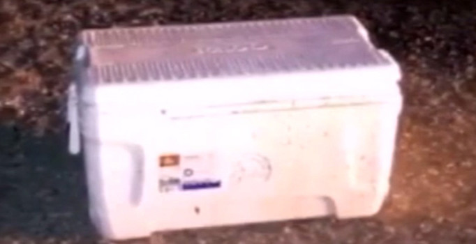 Ülke şokta! Yol kenarındaki soğutucudan 6 kesik baş çıktı