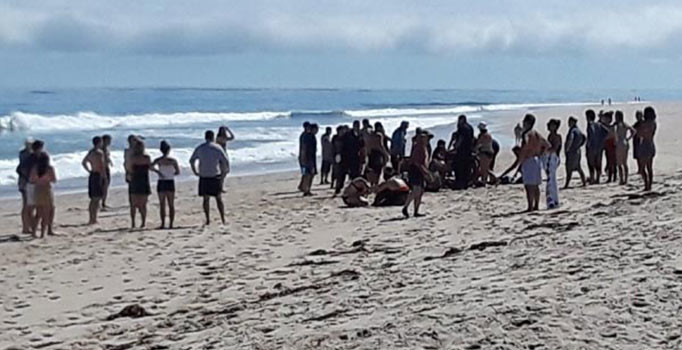 ABD'de köpek balığı saldırısı