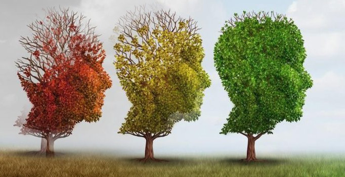 Bahçacı:"Maalesef alzheimerin kesin bir tedavisi yok"
