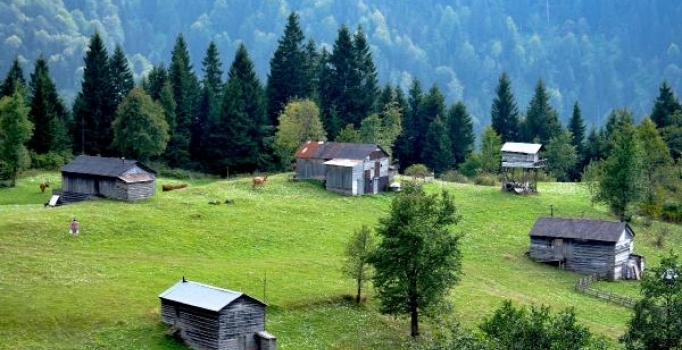 Elektrik, telefon olmayan yaylada doğal yaşam