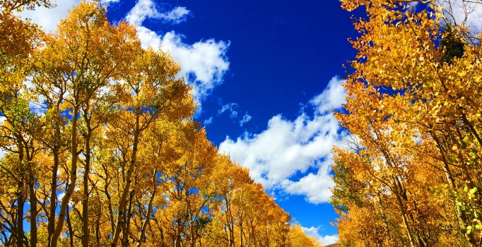 Sonbahar Ekinoksu 2019 nedir? 23 Eylül Sonbahar Ekinoksu tarihinin önemi nedir, özellikleri neler?