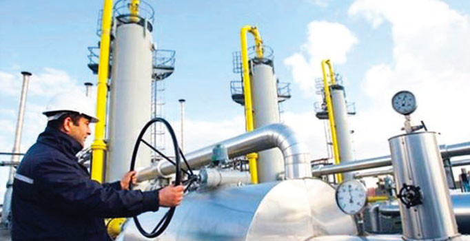 'Doğalgaz zammı mecburen olacak'
