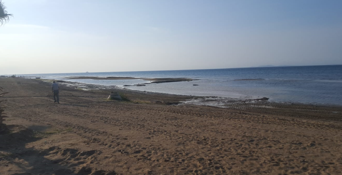 Yalova'daki deniz çekilmesiyle ilgili açıklama: Depremle ilgisi yok