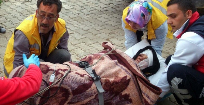 Çaşır toplayan kadına ayı saldırdı