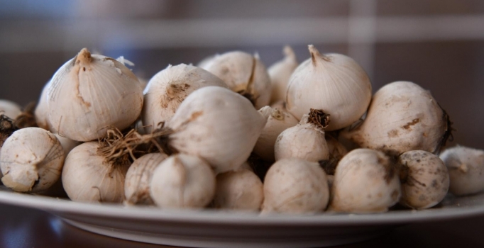 'Tunceli Dağ Sarımsağı' tescillendi