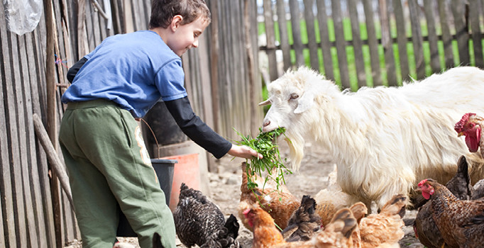 Hayvan sevgisinin çocuklara 6 olumlu etkisi