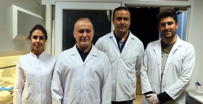 Türkiye'de yetişen 4 bitki türü 'sıtma' hastalığına deva olacak