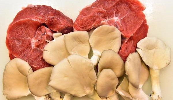 İstiridye mantarına ilgi arttı