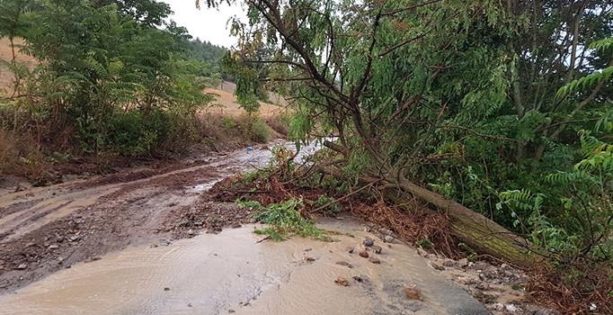 Sri Lanka’da şiddetli yağış ve fırtına: 9 ölü