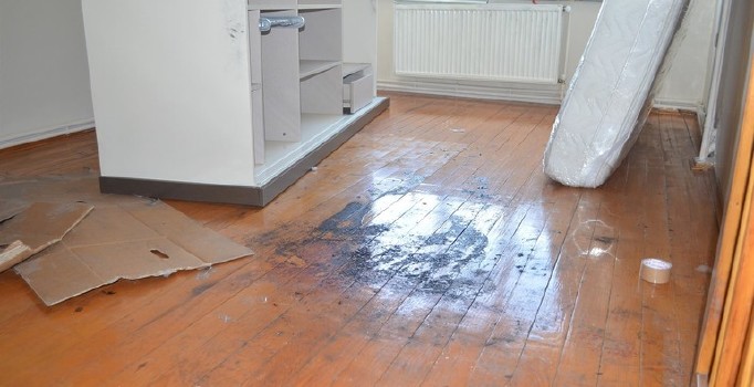 Necla Sağlam'ın öldürüldüğü evin kapıları ilk kez açıldı