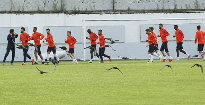 Trabzonspor ile Eskişehirspor 44. kez karşı karşıya