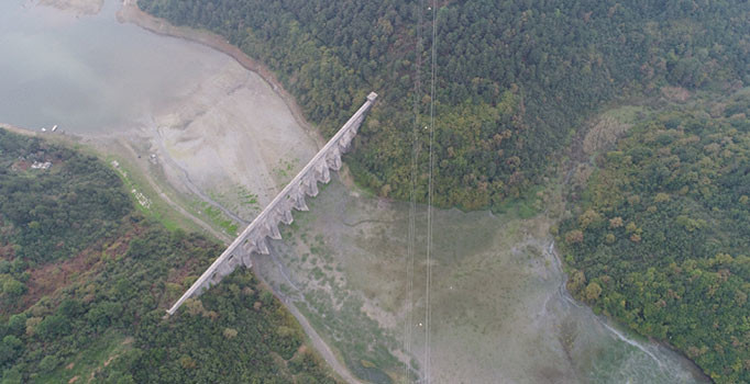 Sultangazi Mimar Sinan Şehir Ormanı’nda Kaşıkçı incelemesi