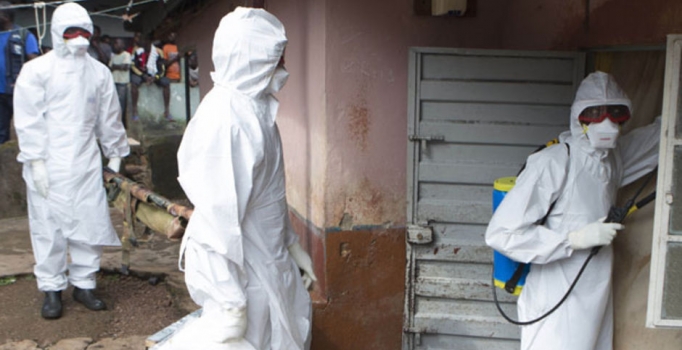 Hindistan'da domuz gribi bu yıl 542 can aldı