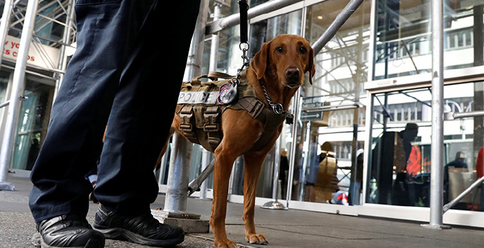 Son dakika! ABD'de bombalı paket alarmı