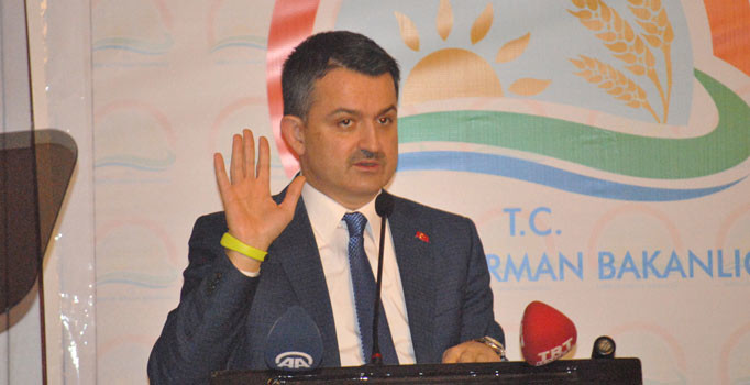 Bakan Pakdemirli duyurdu: Yeni hal yasası için çalışıyoruz